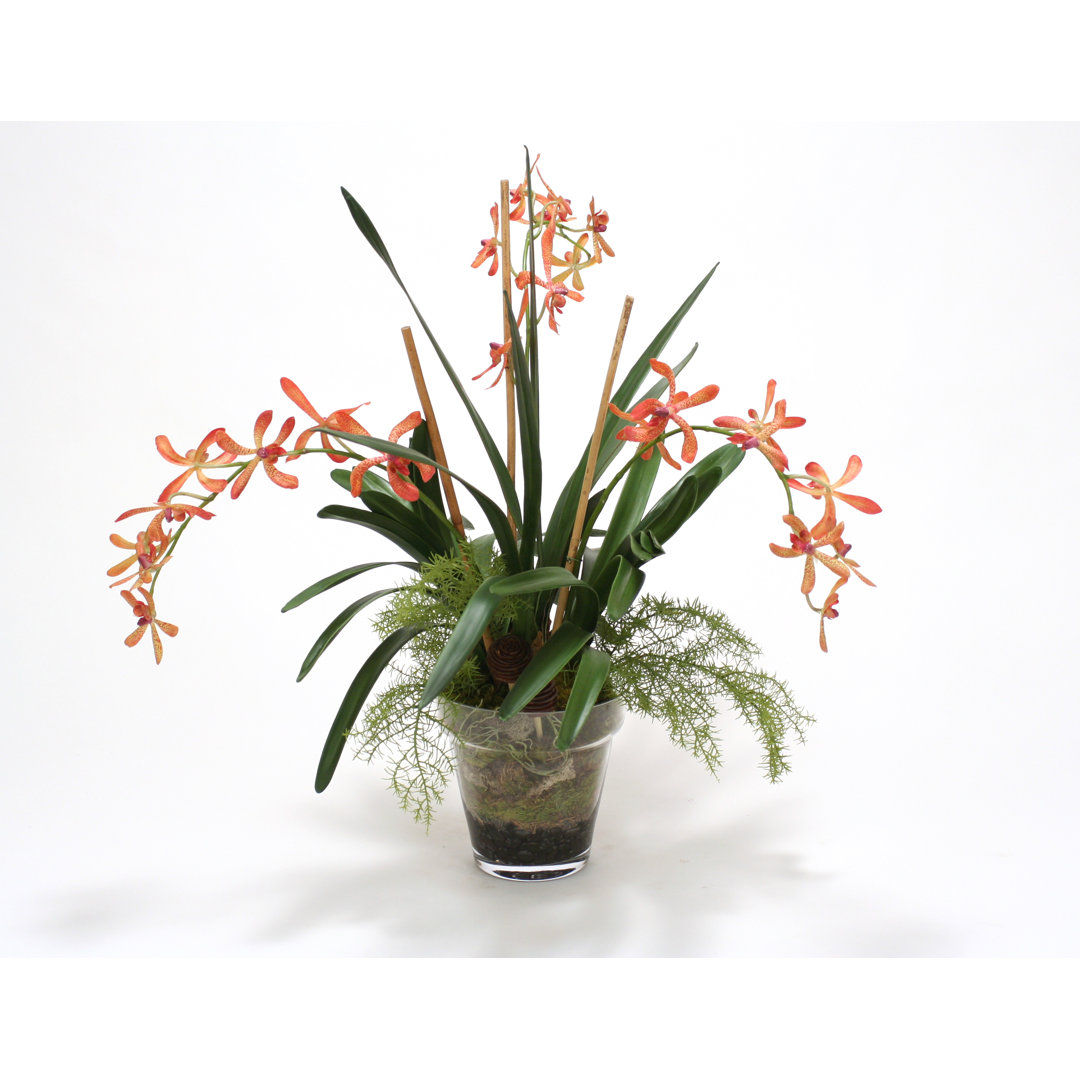 Polysilk Orchid Arrangement in Pot Distinctive Designs