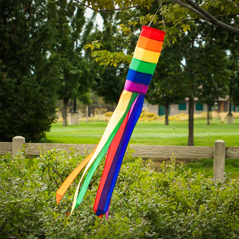 Manche à air Rainbow, H 50 po x l 6 po