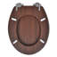 Blacksmith Soft Close Round Standard Toilet Seat