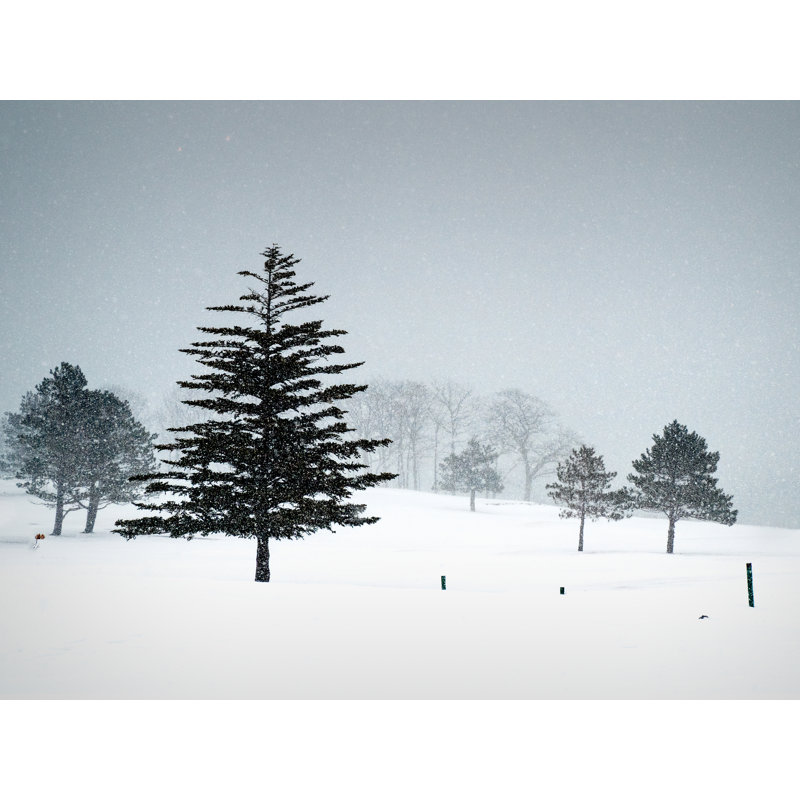 Valentines Day Snow Print by Tom Kostes, Black Framed Canvas, 25" H x 33" W