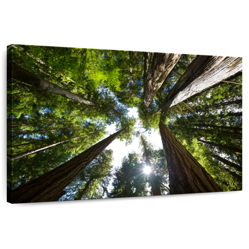 Harnek Low Angle Cedar Trees, 8" H x 12" W