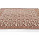Anders Traditional Floral Wool and Nylon Rust Area Rug