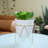11.5'' Faux Succulent Plant in Ceramic Pot-33652215