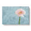Lone Pink Gerbera - Wrapped Canvas-56639010