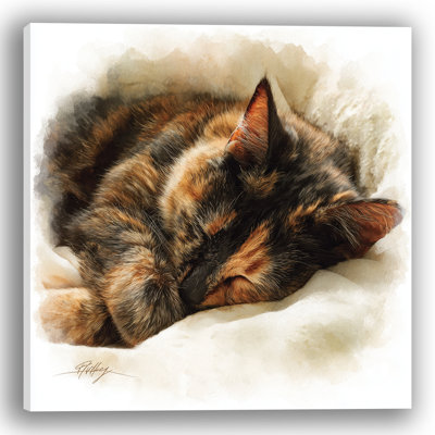 Sleeping Calico Cat Wrapped Canvas Wall Art