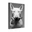 Animaux, chien avec fusil dans la bouche - noir et blanc-1384964649