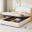 Danayjah Upholstered Bed-803665019-803665020