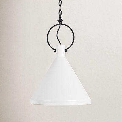 Single Light Metal Dimmable Pendant