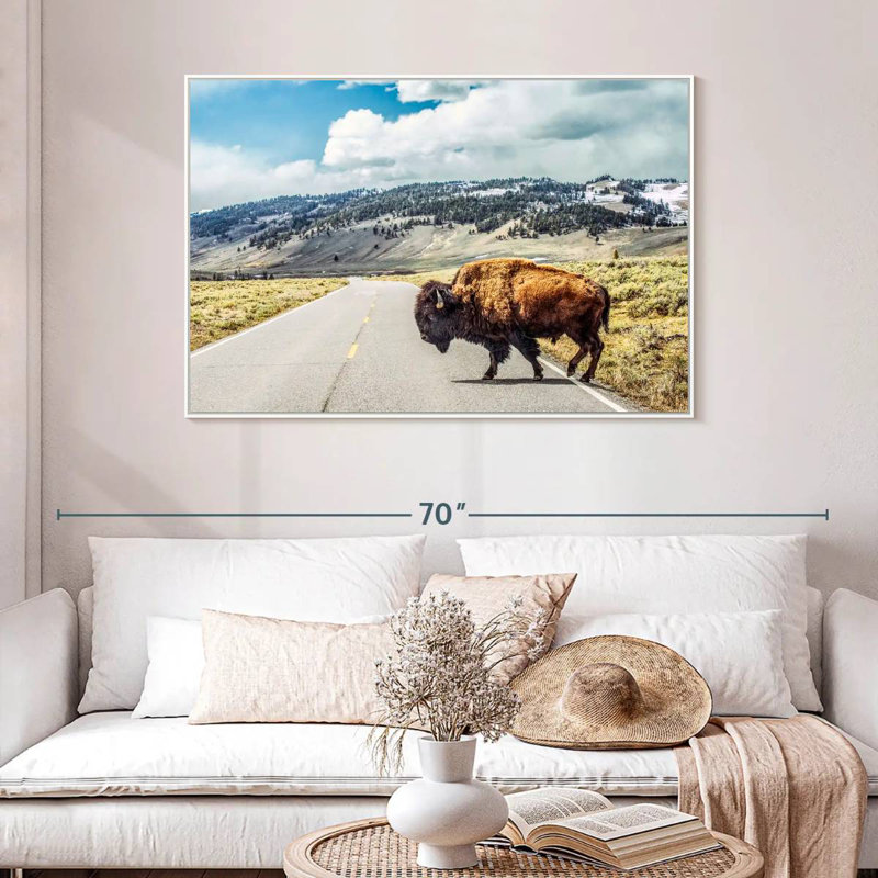 American Bison Crossing, Cadre flottant blanc, 46 po x 31 po