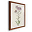 Mauve Garden Flowers III - peinture encadrée-53124331-53124334