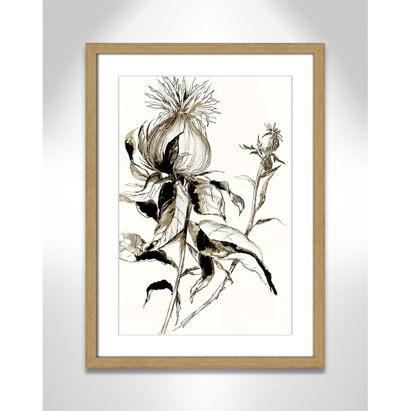 Botanical Seed II par - impression, H 23 po x l 17 po x P 0,75 po, Encadré naturel