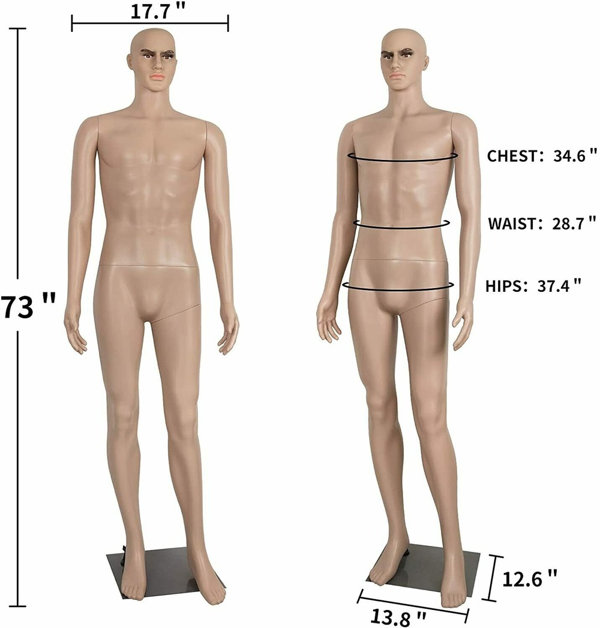 Full Body Realistic Mannequin 73 Inches SHAREWIN