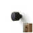 Charcoal (Black)