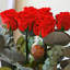 Vraies roses rouges préservées de 20 pouces: longues tiges roses qui durent éternellement - ensemble de 10-1971217539
