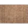 Premium Machine Washable Prisco Terracotta Rug