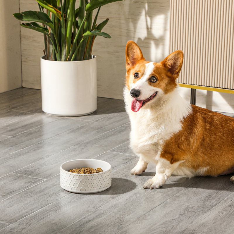 Hexagon Embossed Pattern Anti-skid Stoneware Dog Bowl, 1080ml