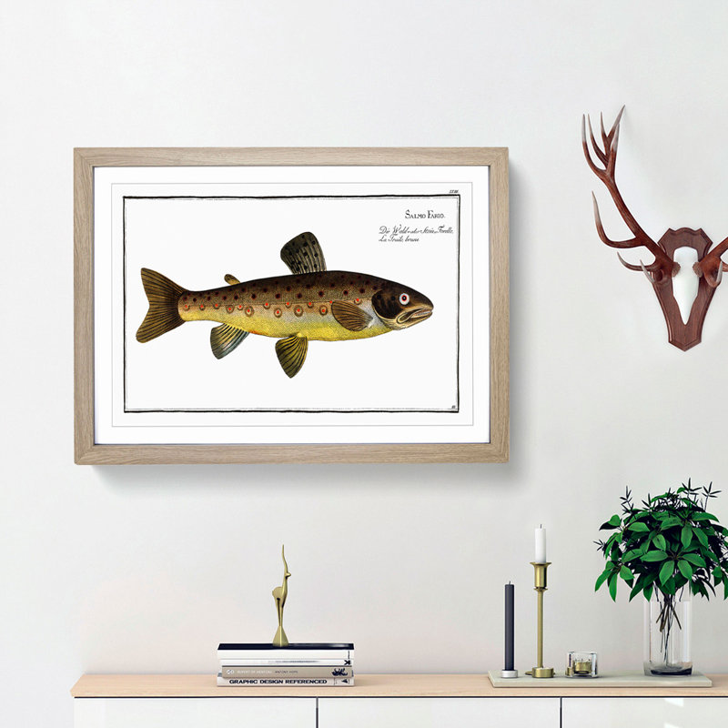 The Brown Trout Fish by M.E. Bloch - Picture Frame Art Print, 36cm H x 48cm W x 2cm D, Oak Framed