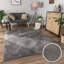 Ishpeming Area Rug-1829746093