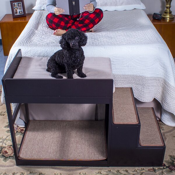 Tucker Murphy Pet™ Bunn Bed Sider 2 Step Pet Stair & Reviews | Wayfair