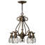 Plantation 5 Light Chandelier-1513832524