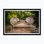 Ionic Framed Photographic Print