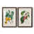 Papier, cadre noyer