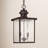 Gallaher 2 - Light Outdoor Hanging Lantern