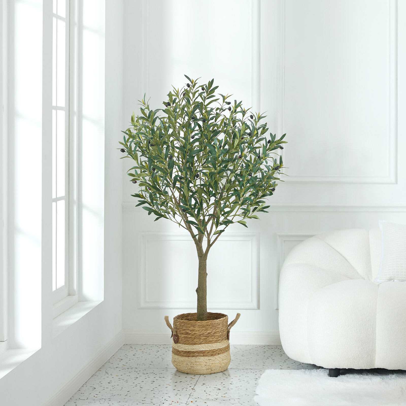 George Olive Tree in Pot, 60" H x 20" W x 20" D