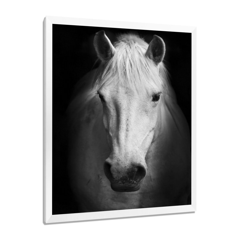 Cheval, reproduction d'art sur toile, cheval noir et blanc, H 32 po x l 24 po, Impression encadrée, Blanc