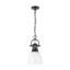 Luminaire suspendu 1 lumière avec chaîne Cajoux-107150048-107150050-107150057