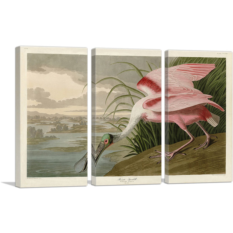 Roseat Spoonbill par James Audubon - ensemble de 3 reproductions d'art sur toiles tendues, H 40 po x l 60 po x P 0,75 po