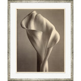 Sepia Flowers 3 Print by Bespoke By Baker