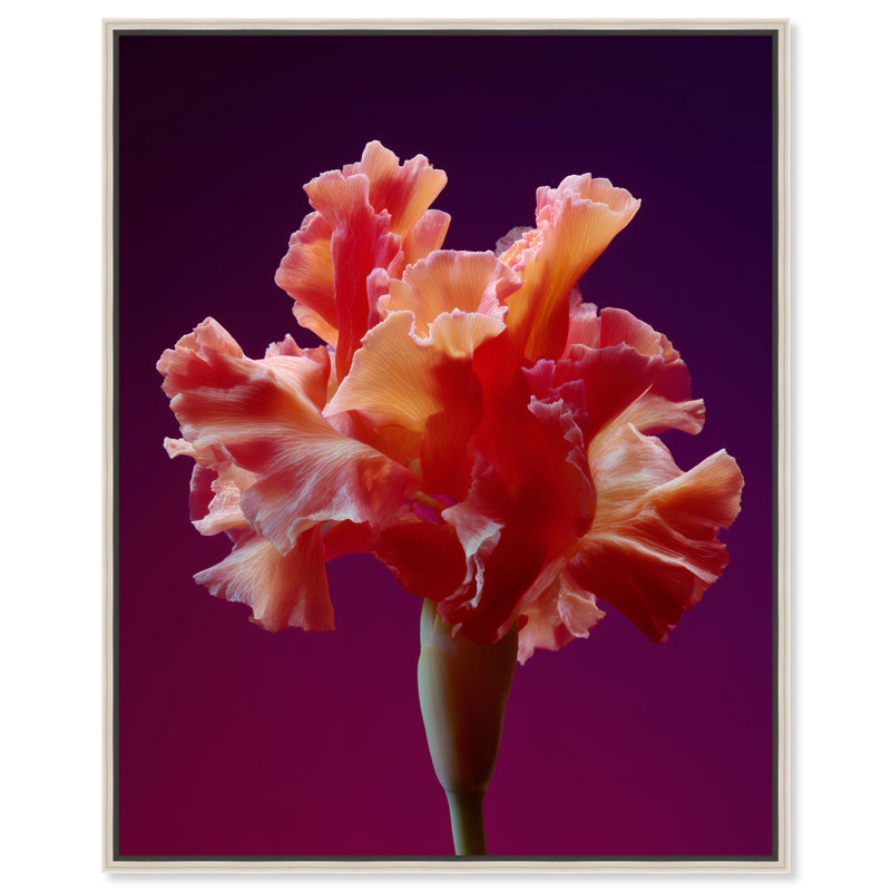 Taffeta Twilight I Print by Oliver Gal, 17"H x 21"W, Silver Floater Frame
