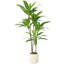 Lifelike Faux Dracaena Plant, Bendable Stems Artificial Green Tree for Living Space Styling