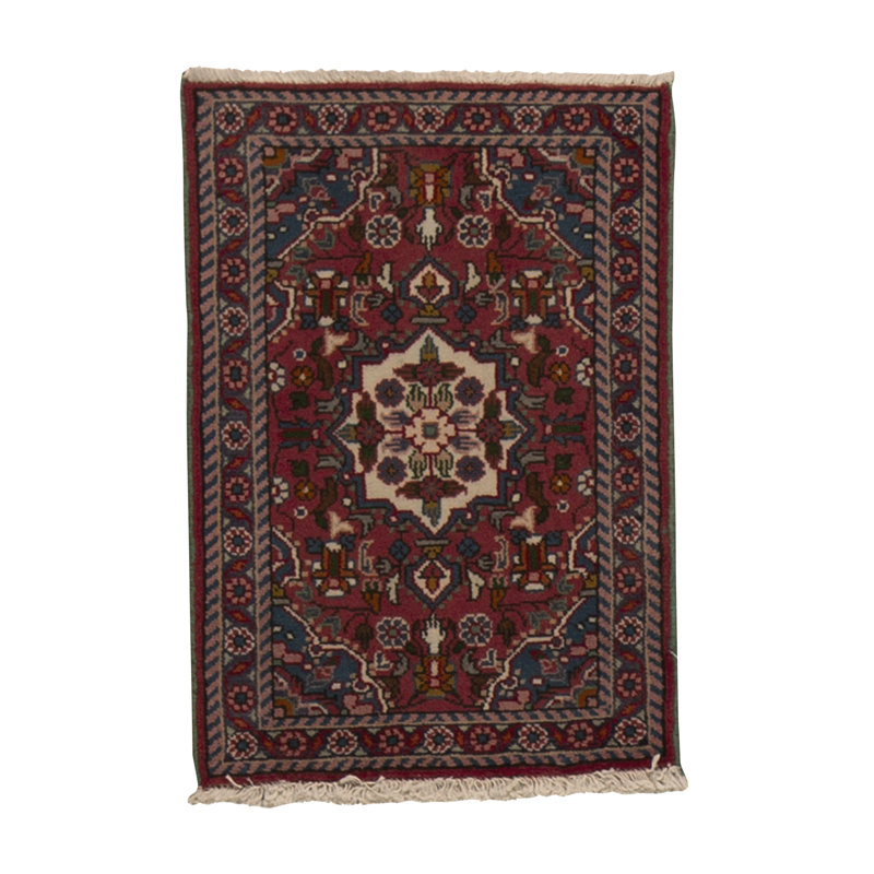 Wool Oriental Area Rug