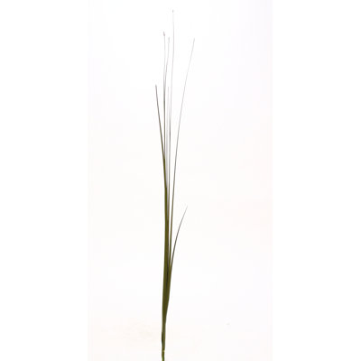 Pvc herbe