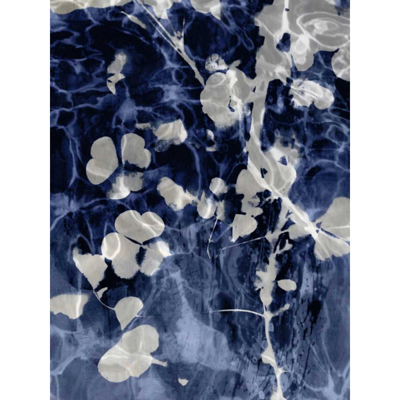 Indigo Nature IV, reproduction d'affiche par Danielle Carson (24 x 36) # DLC114112