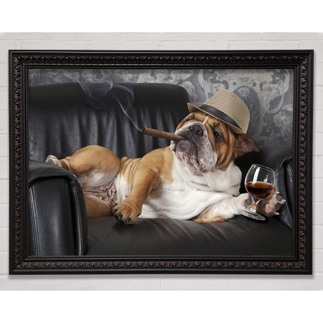 Britische Bulldogge Chillin - Einzelner Bilderrahmen Kunstdrucke