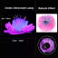 4 pièces / ensemble d'aquarium décor aquarium aménagement paysager corail lumineux aquarium corail