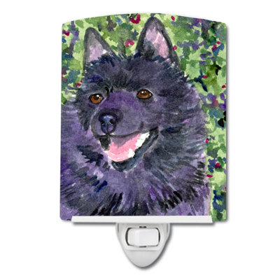 Éclairage de nuit en céramique schipperke