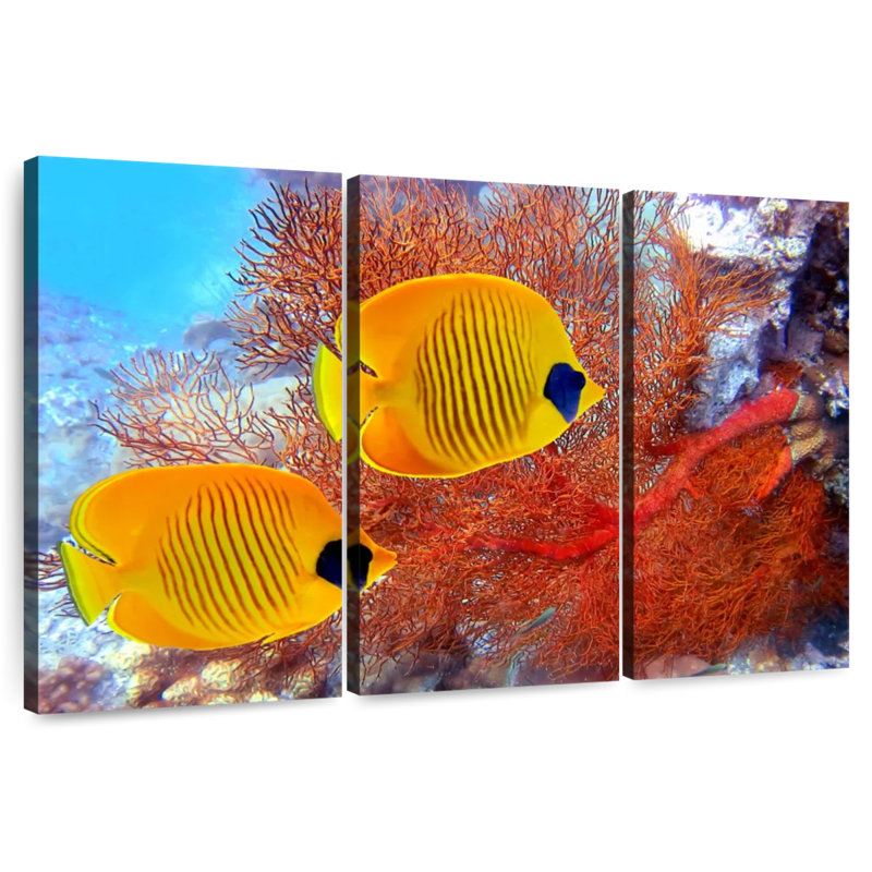 Yellow Butterflyfish Coral Reef, 20" H x 33" W
