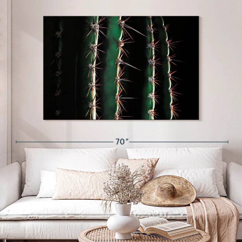 Gros plan d'un cactus épineux, H 34 po x l 51 po