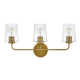 Verbena 3 Light Transparent Dimmable Vanity Light