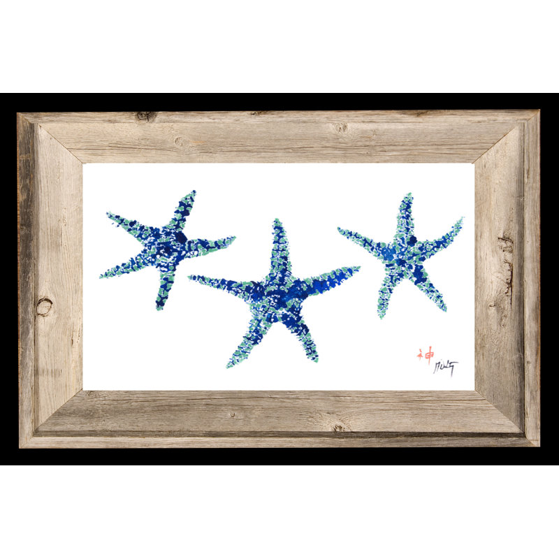 Starfish Framed Print – Beach House Wall Art & Coastal Décor