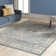 Bejou Oriental Indoor Rug