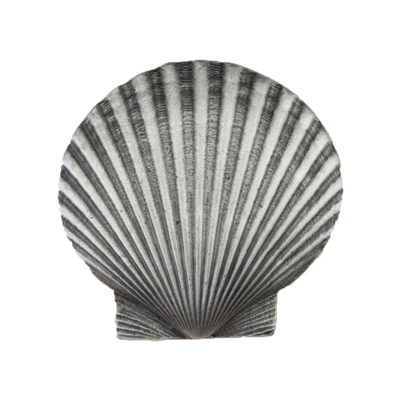 Large Scallop Cabinet Knob, Antique Pewter