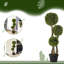 90cm Plant