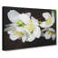 White Jasmine Flowers - Wrapped Canvas Painting-56654607