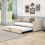Lit de jour simple rembourré avec couchette-488180501
