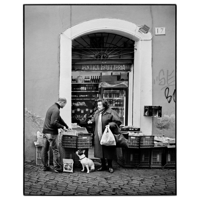 Roman Bodega - Photographie de cadre photo sur papier, H 43 po x l 36 po, Cadre noir